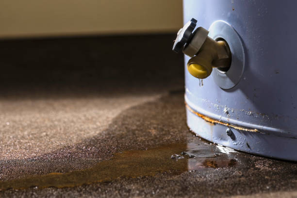  Hubbard, OH Water damage restoration Pros