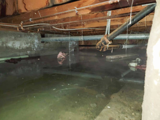 Best Flood restoration services  in Hubbard, OH