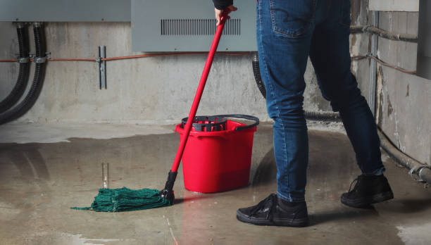 Best Professional water damage repair  in Hubbard, OH