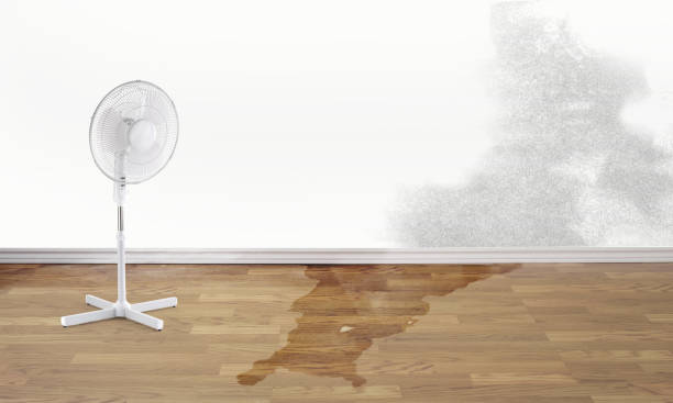 Best Local water damage restoration  in Hubbard, OH