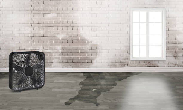 Best Fire Damage Restoration  in Hubbard, OH
