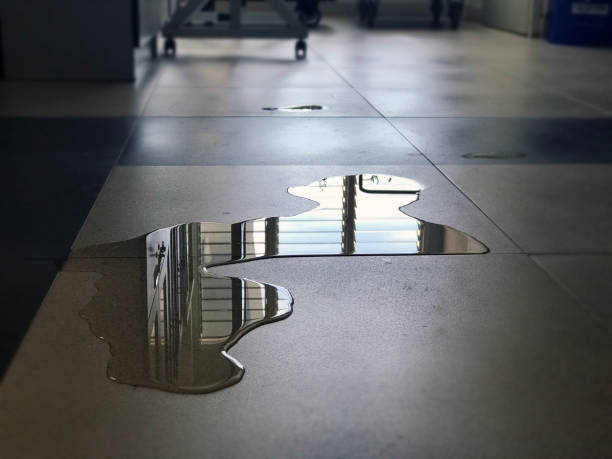 Best Carpet water damage restoration  in Hubbard, OH