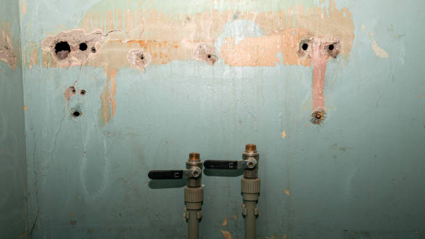 Best Emergency water extraction  in Hubbard, OH