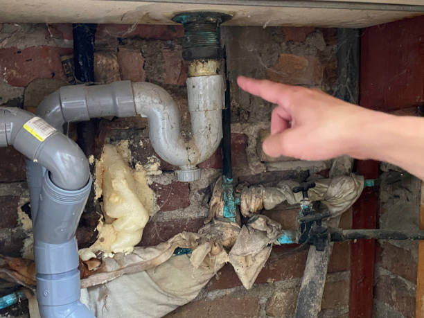 Best Water damage mitigation services  in Hubbard, OH