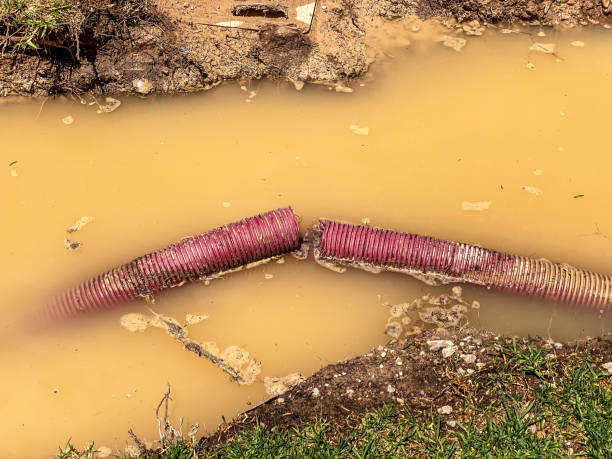 Best Basement water damage restoration  in Hubbard, OH
